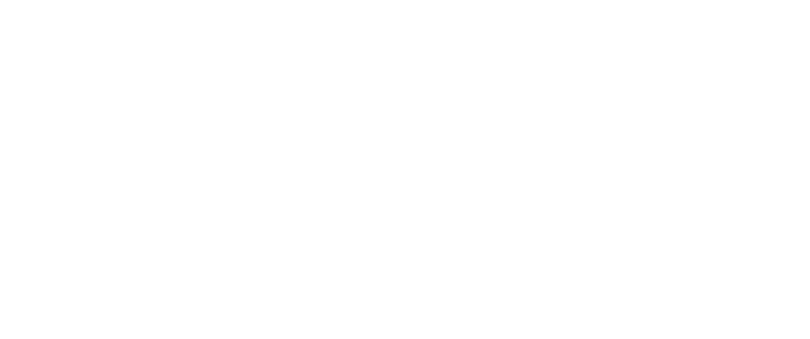 GMIS